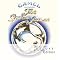 Progressive rock stimula