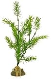 TETRA Water Wonders PLANT 9 inch STARGRASS