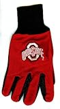 Ohio State Buckeyes Knit College Logo Glove