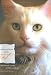 Conversations with Cat: An Uncommon Catalog of Feline Wisdom