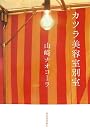 カツラ美容室別室