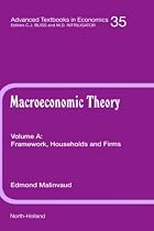 Framework, Households and Firms: A Textbook on Macroeconomic Knowledge and Analysis (Advanced Textbooks in Economics)