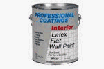 ACP 5GAL OWT FLT Paint