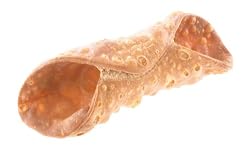 Large Cannoli Shells - 180 ct