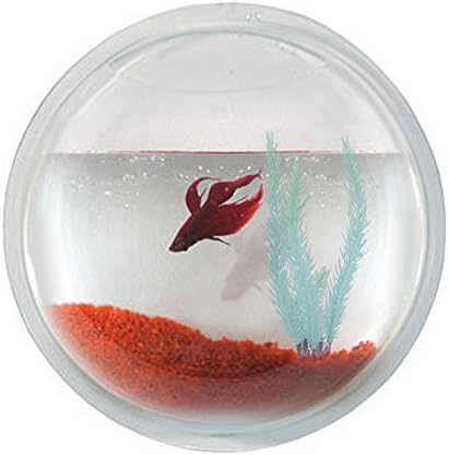 Fish Bubble Deluxe Acrylic Wall Mounted Aquarium Tank by Vandue Corporation