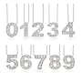 Eve's Addiction Get Lucky Sterling Silver CZ Number Necklace, Number Two