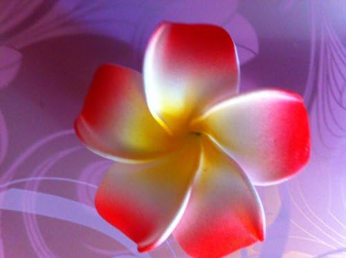 Hawaii Holiday Flower Hair clip. Wedding Party Bride Hair accesories!lred color!