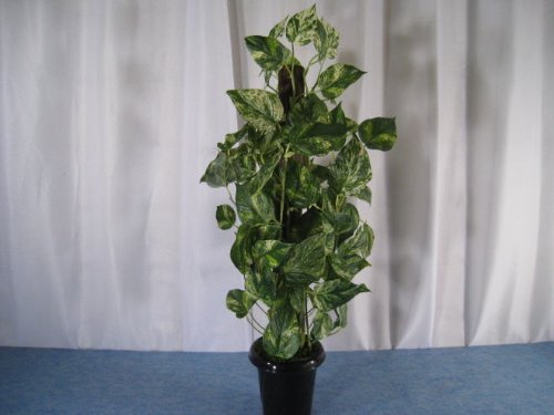 人工観葉植物・モダンポトス・光触媒品コストゼロの空気清浄機