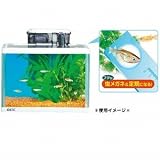 GEX（ジェックス） ガラス水槽セット メダカ元気はじめて飼育セット