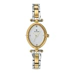 Titan 2419BM01 Wrist Watch