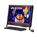 PC-VN550WG6R VALUESTAR N