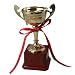 Kitchen & Housewares : Trophy GOLD 20 cm