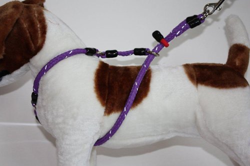 xtreme dog harness