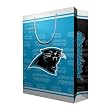 Carolina Panthers NFL Large Gift Bag (15.5 Tall)"