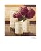 Rose Lancome by Karsten Kirchner Fine Art Print / Poster 15.75 x 19.75 in. Image