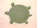 Turtle Steping Stone