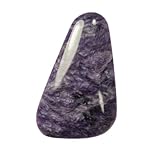 49x31mm Charoite Cabochon