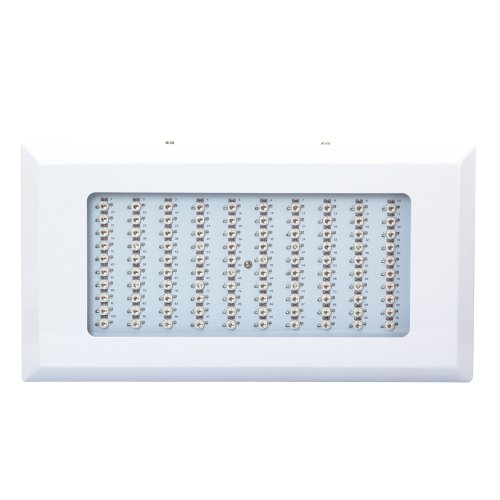 examen Fuloon - 300W Panneau lampe de croissance à 100*3W leds (Rouge et Bleue) pour plantes fruit végétale d'intérieur de Greenhouse Glasshouse - 45.5cm * 27.5cm * 11cm