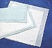 Health & Personal Care : Medline Protection Plus Standard Polymer Filled Disposable Underpads, 23 in. x 36 in. - Pack of 10