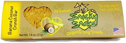 Treat Planet Snicky Snaks Banana Coconut Crunch Bar All-Natural Organic 24Box