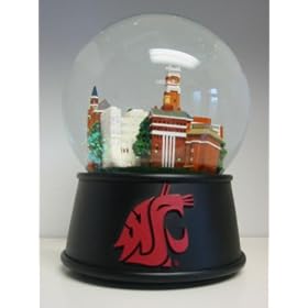 WASHINGTON STATE WATERGLOBE
