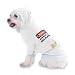 BEWARE OF THE SAX PLAYER Hooded (Hoody) T-Shirt with pocket for your Dog or Cat XS White