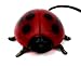 http://ecx.images-amazon.com/images/I/41slea1dkVL._SL75_.jpg