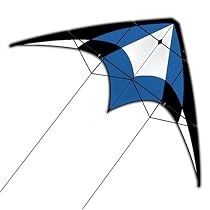 XL Sport Dual Control Nylon Kite: Blue by X-Kites