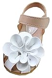 M.Z.L　ベビー おしゃれ 靴　フラワー モチーフ サンダル　夏 赤ちゃん キッズ 履き心地 柔らか マジックテープ ストラップ 滑り止め 付き 可愛い 花 女の子 シューズ (15.5cm, ホワ