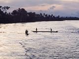 Congo River Near Kisangani, Democratic Republic of Congo (Zaire), Africa Photographic Poster Print by David Beatty, 24x18
