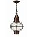 Hinkley Lighting 2202SZ Cape Cod 1 Light Outdoor Pendants/Chandeliers in Sienna Bronze
