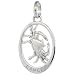 Sterling Silver Flawless Quality CANCER Zodiac Sign Pendant (Jun. 21 - Jul. 22), 11/16
