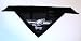 Philadelphia Eagles NFL Dog Bandana