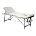 Alu Luxus Massagetisch Massageliege Massagebank 3 Zonen