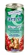 R.W. Knudsen Spritzer, Ginger Ale, 10.5-Ounce Cans (Pack of 24)
