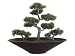 18" Potted Artificial Japanese Inspired Cedar Bonsai Tree 18" Potted Artificial Japanese Inspired Cedar Bonsai Tree