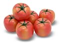 Tomato Bundle Play Food by Melissa and Doug (Set of 6)
