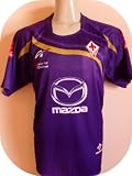 FIORENTINA -ITALY-SOCCER JERSEY SIZE LARGE .NEW