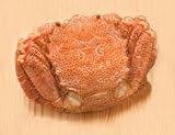 【訳あり】 身たっぷり 北海道の味覚 毛がに 650g前後 【北海道】