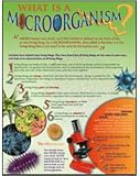 WHAT IS A MICROORGANISM CHARTLET