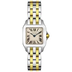 Cartier Women's W25066Z6 Santos Demoiselle Stainless Steel and 18K Gold Watch