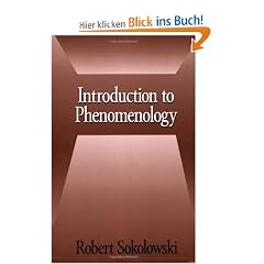 Introduction to Phenomenology