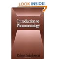 Introduction to Phenomenology