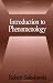 Introduction to Phenomenology