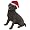Labrador Retriever (Chocolate)
