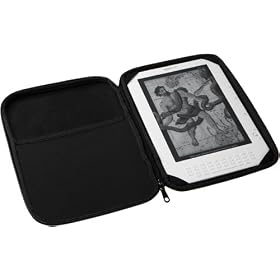 Patagonia Reader Case for Kindle DX