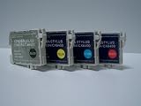Produkt-Bild: Start - 12 XL Chip Patronen kompatibel zu Epson T0611, T0612, T0613, T0614 - 3 x black - 3 x cyan - 3 x magenta - 3 x yellow