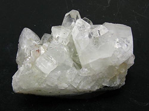 Apophylite Cluster From India - 2.3"