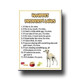 Whippet Property Laws Fridge Magnet No 1