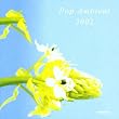 Pop Ambient 2002